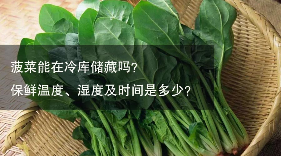 菠菜能在冷庫儲(chǔ)藏嗎？ 保鮮溫度、濕度及時(shí)間是多少？