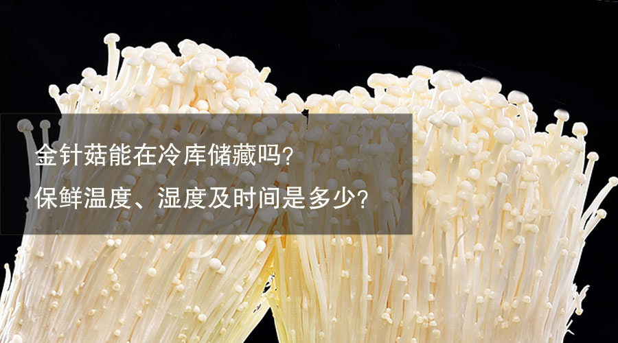 金針菇冷庫(kù)保鮮溫度、相對(duì)濕度及時(shí)間介紹