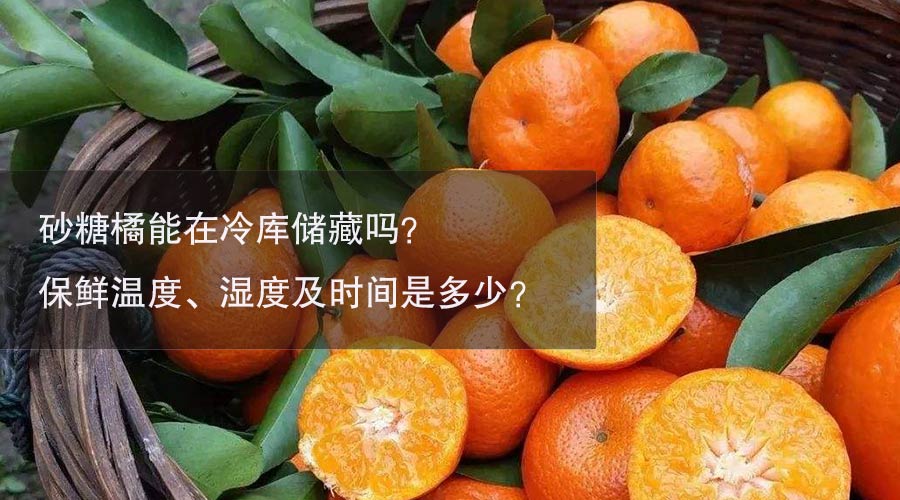 砂糖橘冷庫溫度、濕度及時(shí)間介紹