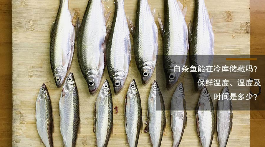 白條魚冷庫儲藏溫度、相對濕度及時間介紹