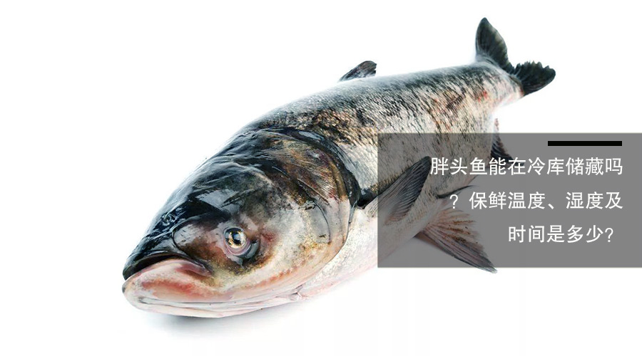 胖頭魚（鳙魚）冷庫儲藏溫度、相對濕度及貯藏時間介紹