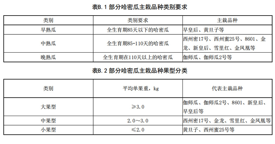 哈密瓜早、中、熟瓜和大中型瓜的分類要求