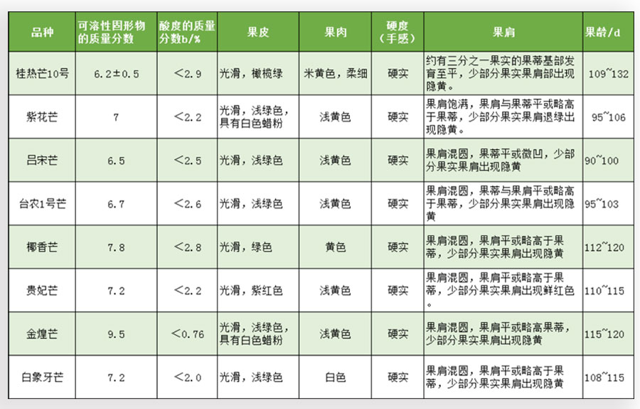 采收不同品種芒果標準判斷