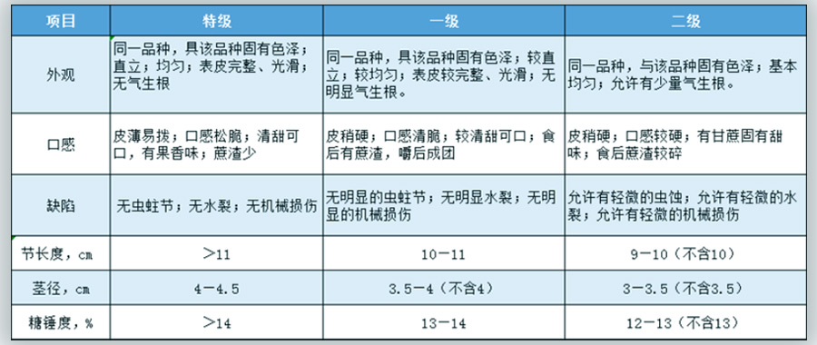 甘蔗放冷庫(kù)前分級(jí)