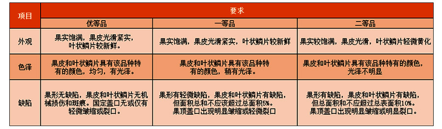 火龍果入冷庫前等級分級標準