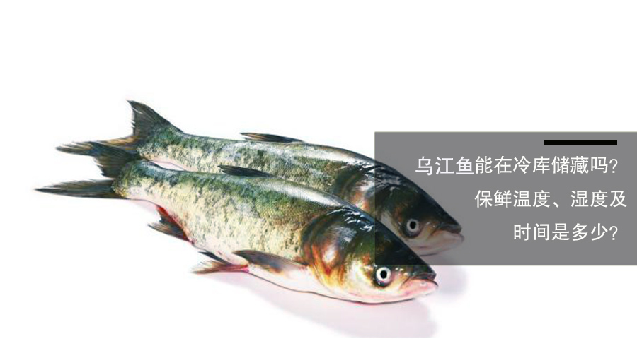 烏江魚(yú)放冷庫(kù)保鮮溫度、相對(duì)濕度和時(shí)間介紹