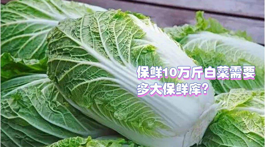 保鮮10萬(wàn)斤白菜需要多大保鮮庫(kù)?