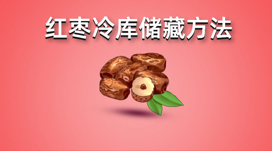 鮮紅棗（大棗）冷庫儲(chǔ)藏方法指南