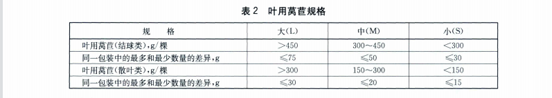 生菜（葉用萵苣）規(guī)格參考圖片