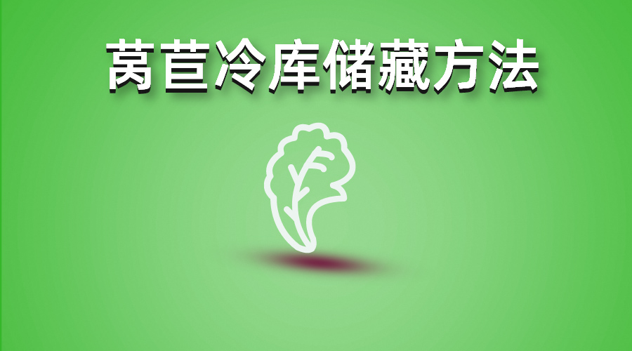 萵苣冷庫(kù)儲(chǔ)藏方法介紹