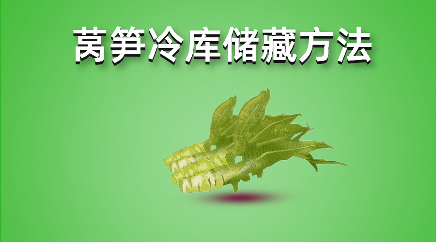 萵筍冷庫儲(chǔ)藏方法介紹