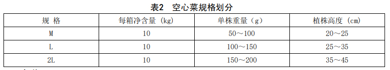 空心菜分級標準