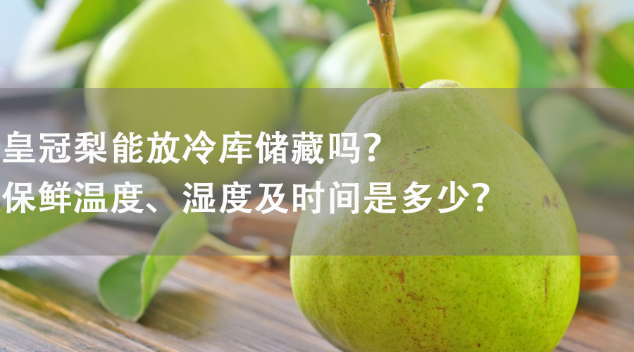 皇冠梨能在冷庫儲藏嗎？保鮮溫度、濕度及時間是多少？