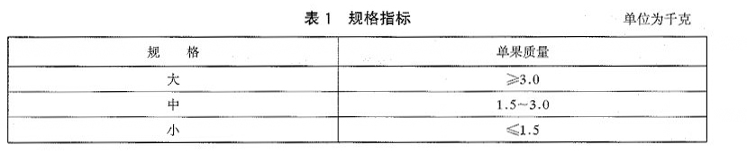 榴蓮規(guī)格劃分