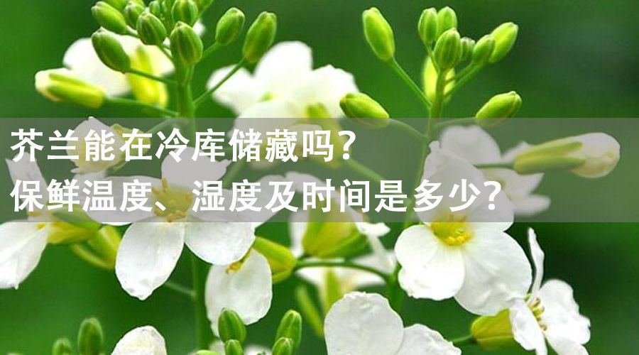 芥蘭能在冷庫儲(chǔ)藏嗎？保鮮溫度、濕度及時(shí)間是多少？