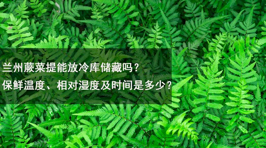 蘭州蕨菜提能放冷庫儲藏嗎？保鮮溫度、相對濕度及時間是多少？.jpg