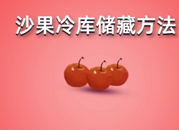 沙果（花紅）冷庫(kù)存儲(chǔ)方法詳解，保鮮時(shí)間6個(gè)月！