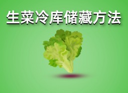 生菜冷庫(kù)存儲(chǔ)方法介紹，這樣做保鮮1個(gè)月！