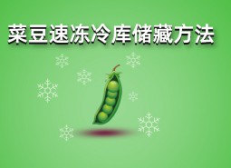 四季豆（菜豆）速凍冷庫儲藏方法詳解，保鮮時間1年不變質(zhì)！