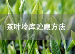 茶葉貯藏方法是什么？茶葉冷庫儲存介紹！