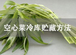 空心菜冷庫貯藏方法詳解！這樣貯藏可保鮮1個月！