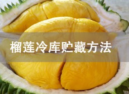 榴蓮冷庫(kù)貯藏方法詳解！冷凍庫(kù)保存8個(gè)月！