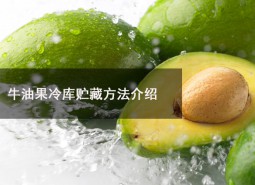 牛油果冷庫(kù)貯藏溫度為多少？可以在冷庫(kù)貯藏多長(zhǎng)時(shí)間？-萬(wàn)能制冷